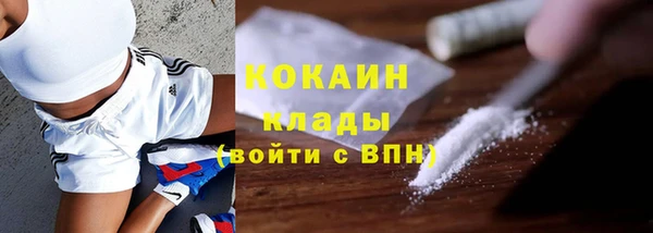 гидра Алзамай