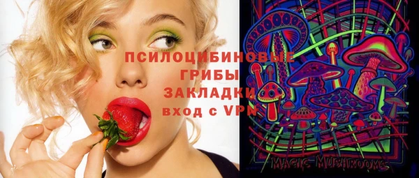 прущий лед Алексин